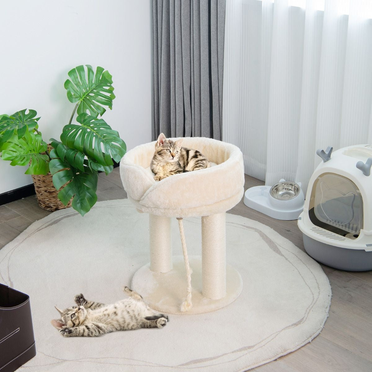 Coast Cat Tree Katzenkratzbaum Kratzbaum mit weichem Stuhl sistal Turm für Katzen beige