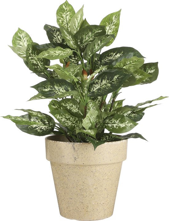Mica Decorations Dieffenbachia Künstliche Pflanze im Blumentopf Stan - H70 x Ø55 cm - Grün
