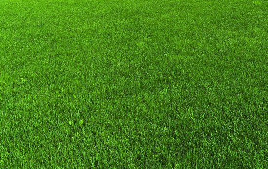 Avant Grazz Rasensamen