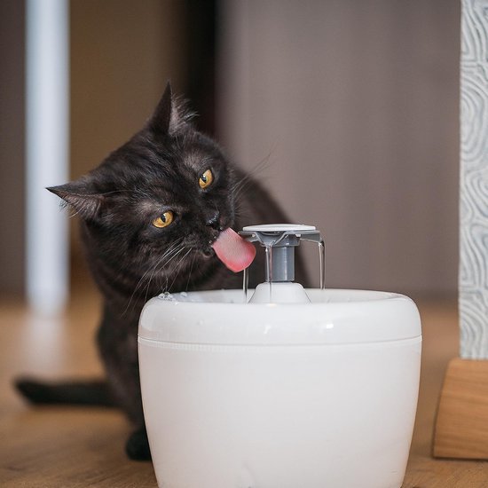 TrevoPet® Trinkbrunnen Katze - Wasserbrunnen Katze - Katzenbrunnen - Flüsterleise - Trinkbrunnen - Katzentränke - 2,5 Liter - einschließlich Filter - Weiß