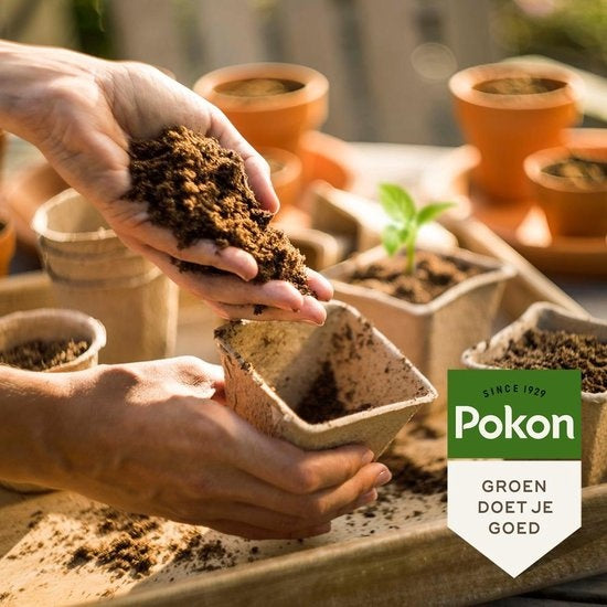 Pokon Bio Seed and Seedling Soil - 10l - Blumenerde (Bio) - Stimuliert die Wurzelentwicklung