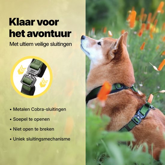 Jake und Jacky Hundegeschirr Hund Medium - Anti-Pull-Geschirr - Y-Geschirr Hund - Hundegeschirr - Grün - Größe M