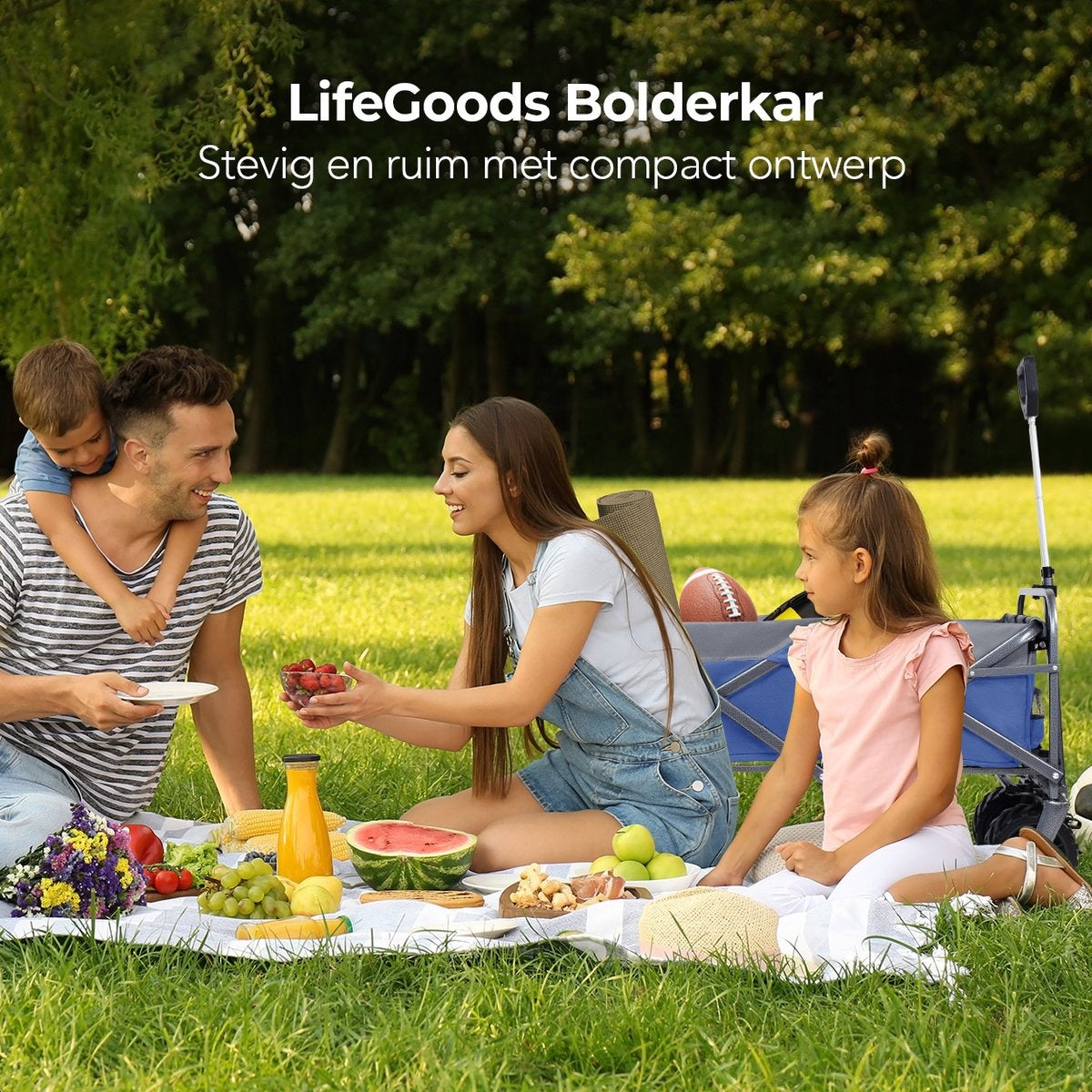 LifeGoods Wagon - faltbar - bis zu 80KG - 94L - waschbares Polyester - 98x45cm - Blau/Grau