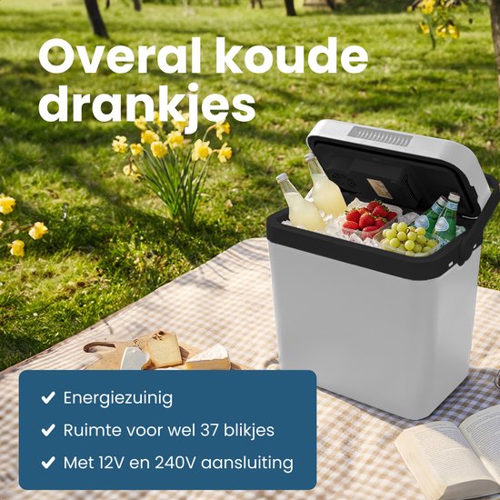 Auronic Coolbox Electric 12V und 230V - 25L - Camping-Kühlschrank - Auto - Kühlung und Heizung - Kühlbox - Hellgrau