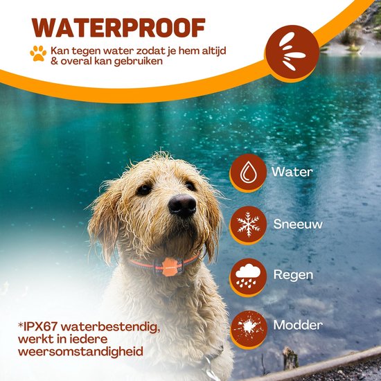 Vulpes Goods® - Anti-Bell-Halsband Pro mit Fernbedienung - Anti-Bell-Gerät - 3-in-1-Trainingshalsband - kein Schock - Erziehungshalsband für kleine & große Hunde - wasserdicht - wiederaufladbar - Vibration & Audio