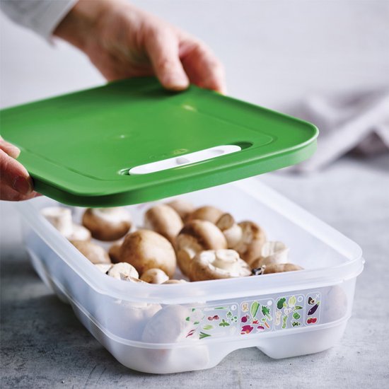 Tupperware Fridge Smart 1,8 l – Frischhaltebehälter – BPA-frei – Vorratsbehälter – Lunchbox – Kunststoffbehälter – Lebensmittelbehälter – Lebensmittel bleiben doppelt so lange frisch