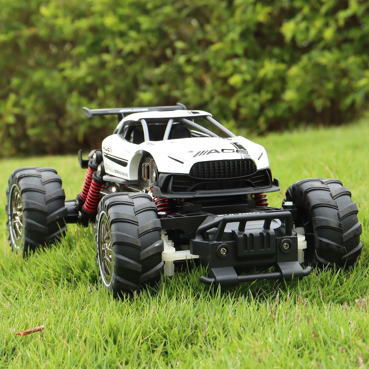 Fuegobird RC Car - RC Fahrzeug - Hochgeschwindigkeits-Spielzeugauto - Gemüse