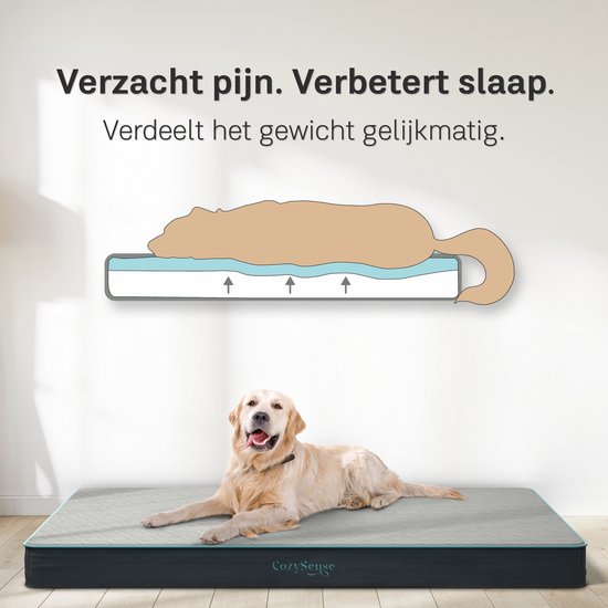 CozySense® - Orthopädisches Hundekissen 60 X 40 Cm - Größe S - Wasserdicht - Geeignet als Sitzkissen & Hundebett