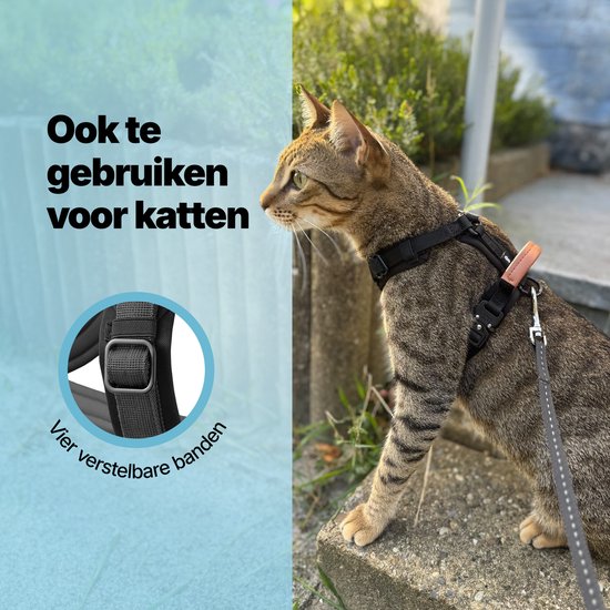 Jake und Jacky Hundegeschirr Kleiner Hund - Anti-Zug-Geschirr - Katzengeschirr - Y-Geschirr Hund - Hundegeschirr Kleiner Hund - Katzengeschirr - Schwarz - Größe XS
