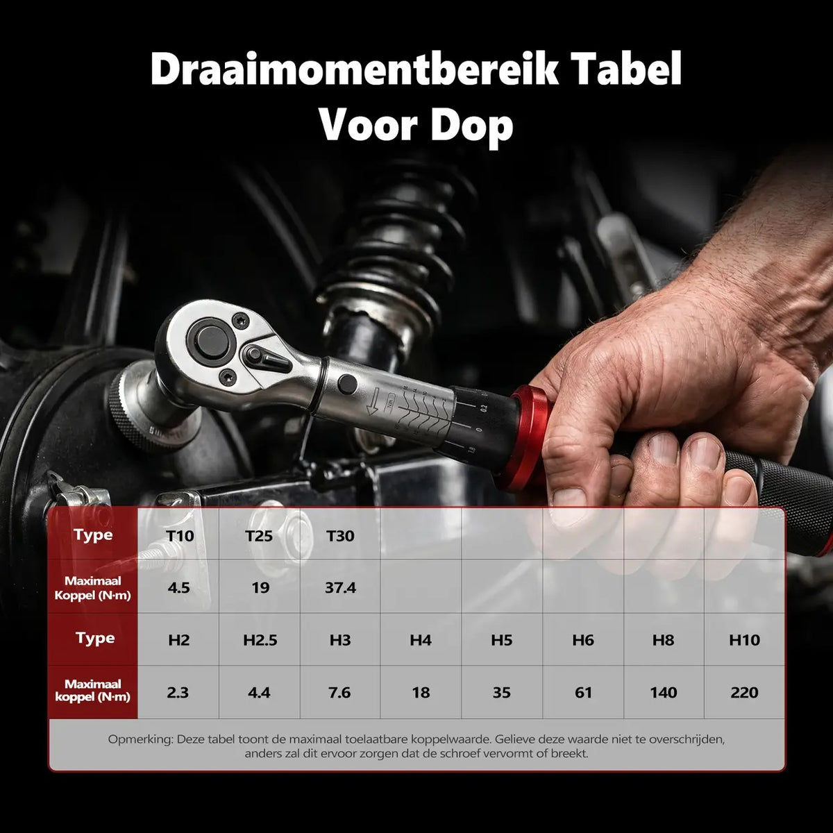 MoveCrab Drehmomentschlüssel-Set für Fahrräder – 15-teilig – 1/4 Zoll – 2–20 Nm