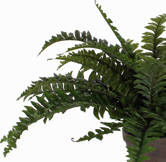 Mica Decorations Boston Farn Künstliche Pflanze im Blumentopf Stan - H42 x Ø50 cm - Grün