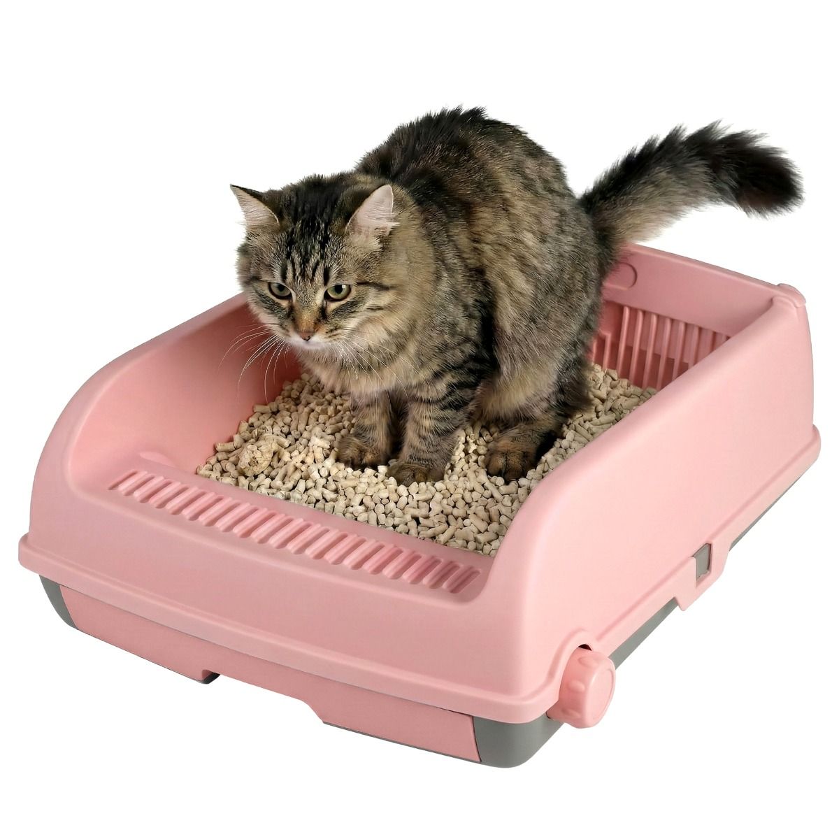 Coast Halbautomatische Katzentoilette – Ausziehbare Schublade – 60 x 46 x 24 cm – Rosa