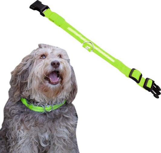 Dutchwide Leuchthalsband Hund - Extra Stark - XS 28 cm bis 38 cm - Hundehalsband - Schnapphalsband - Verstellbar - Reflektierend