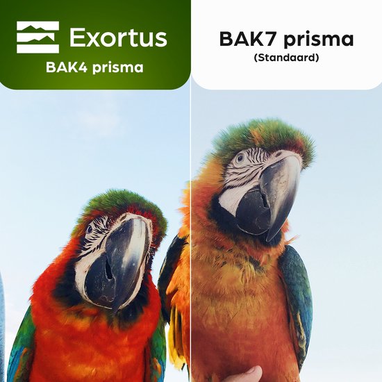 Exortus® FMC Kompaktes Fernglas für Erwachsene und Kinder – Spotting-Scope-Teleskop 8x21 – Mit Tragetasche und Umhängeband – Vogelbeobachtung, Reisen, Jagd