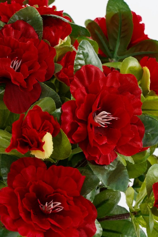 Mica Decorations Künstliche Pflanze - Azalee - Rot - im Topf - 31 cm - künstliche Pflanzen