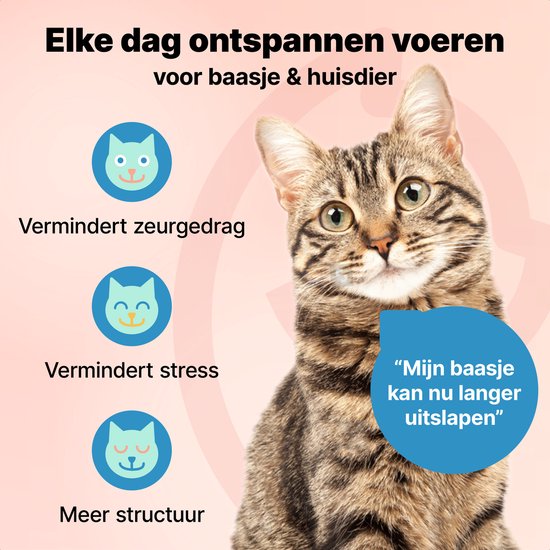 Jake and Jacky Futterautomat für Katzen und Hunde - 5 Liter - Inklusive 2 Edelstahl-Futterautomaten & 2 Langsam-Futterautomaten - Futterspender & Anti-Snack-Eimer - Futterspender - Futterautomat für Katzen & Hunde - Schwarz