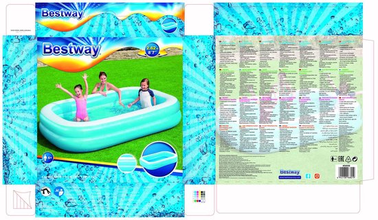 Bestway - Aufblasbarer Pool - 262x175x51 cm - 778L