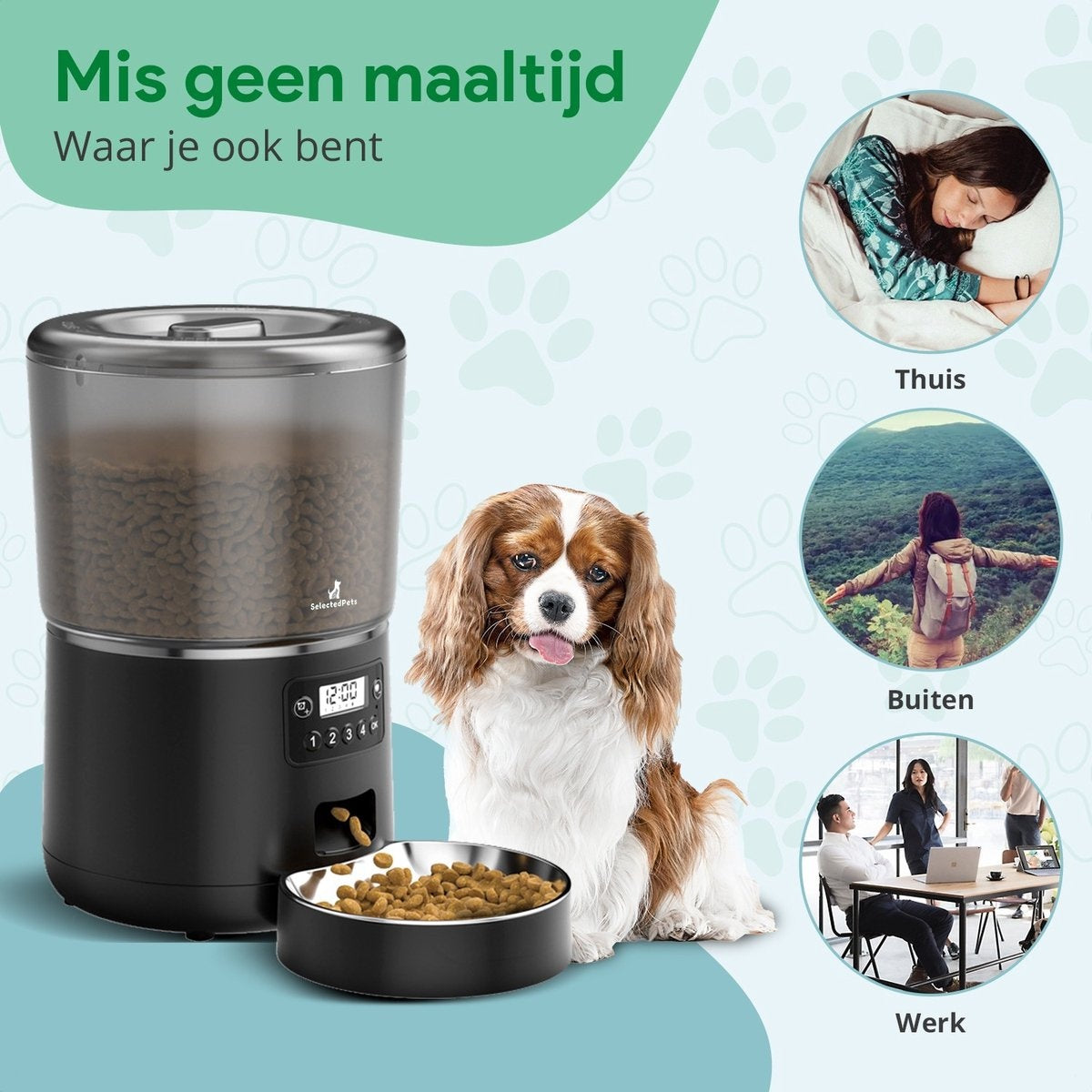 Automatischer Futternapf Katze und Hund 4L - Feeder Katze - Schwarz - Dutch Manual included