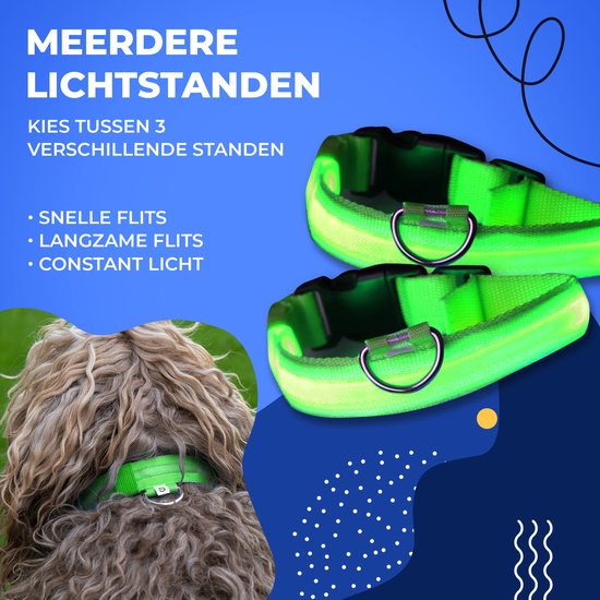 Dutchwide Leuchthalsband Hund - Extra Stark - XS 28 cm bis 38 cm - Hundehalsband - Schnapphalsband - Verstellbar - Reflektierend