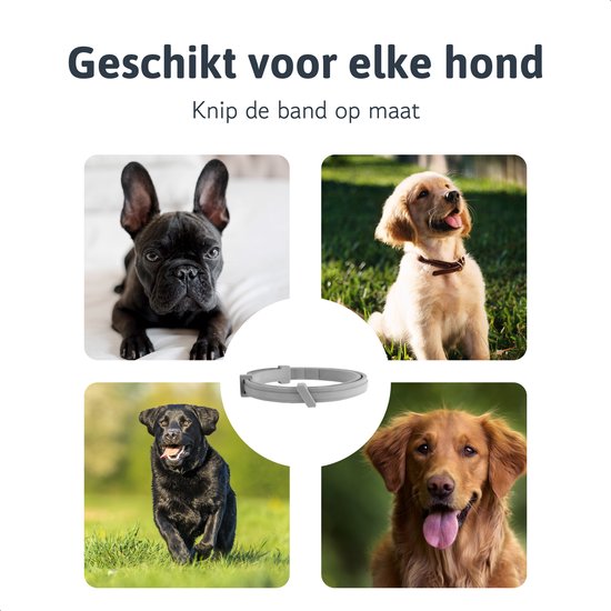 Dutchwide Zecken- und Flohhalsband für Katze und Hund - Tierfreundlich - Geeignet für Katzen, Hunde und Kätzchen - Einheitsgröße
