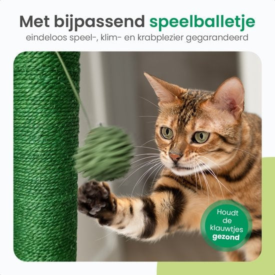 Gopets Kratzbaum Cactus - Mit Seil - Modernes Design - Kratzmöbel mit Spielzeug - 33 x 52 cm