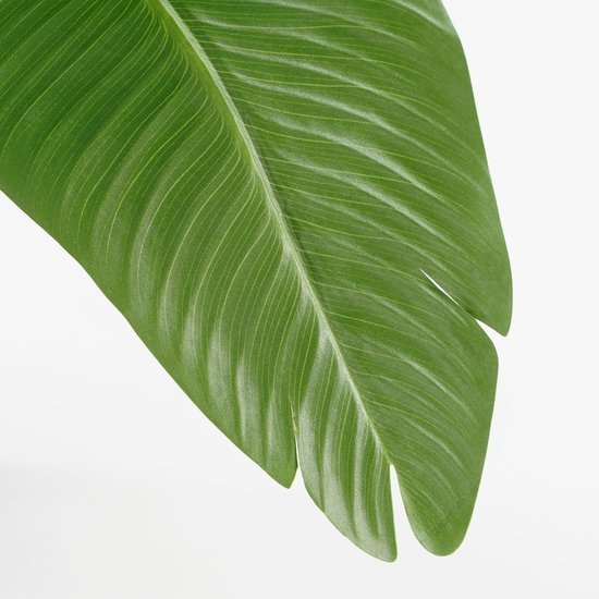 Mica Decorations Künstlicher Bananenbaum im Topf - H180 x Ø30 cm - Grün