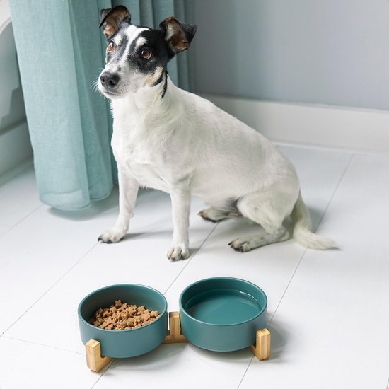 Fressnapf Katze und Hund Keramik - Fressnäpfe doppelt mit Ständer - Trinknapf - 2x 400 mL - Grün Matt