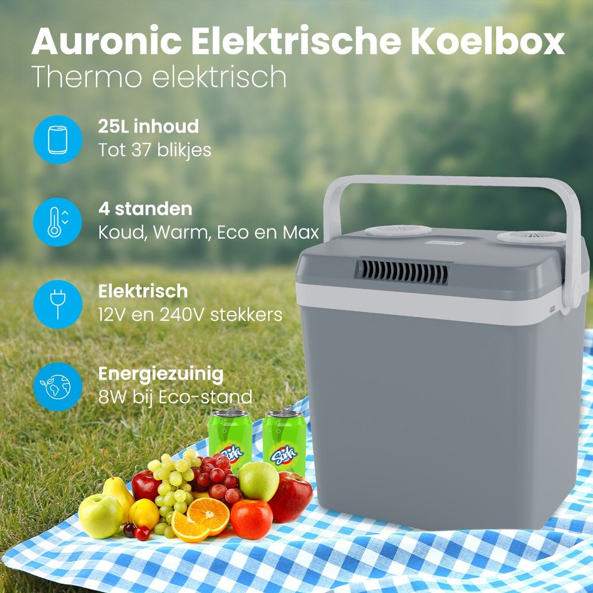 Auronic Electric Kühlbox - Kühlbox - 25L - 12V und 240V - Grau