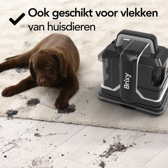 Brixy Professional Teppichreiniger - Fleckenreiniger - 2 Bürsten - Leistungsstark und tragbar - Sofa-Reiniger - Möbel-Reiniger - Sitz-Reiniger - Schwarz