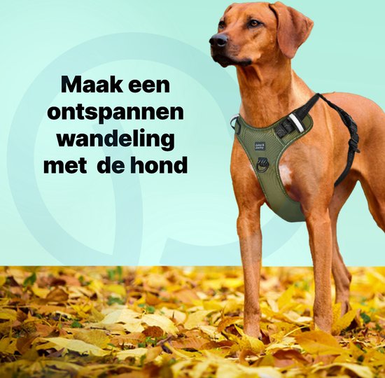 Jake und Jacky Hundegeschirr - Anti-Zieh-Geschirr - Hundegeschirr - Y-Geschirr Hund - Reflektierend - Grün - Größe L