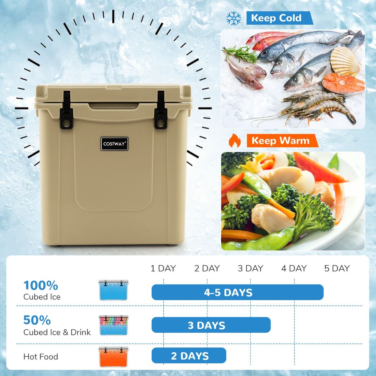 Coast Tragbare Kühlbox auf Rädern 43L - Kaffee - 53x49x53-108 cm - Isothermisch mit Aluminium-Ziehgriff und Flaschenöffner