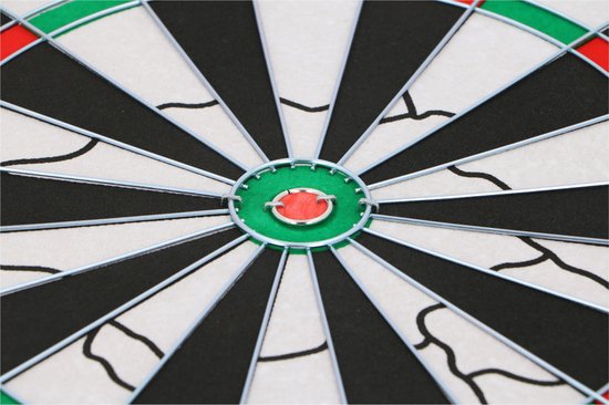Lifetime Dartscheibe Deluxe mit Pfeilen 45cm