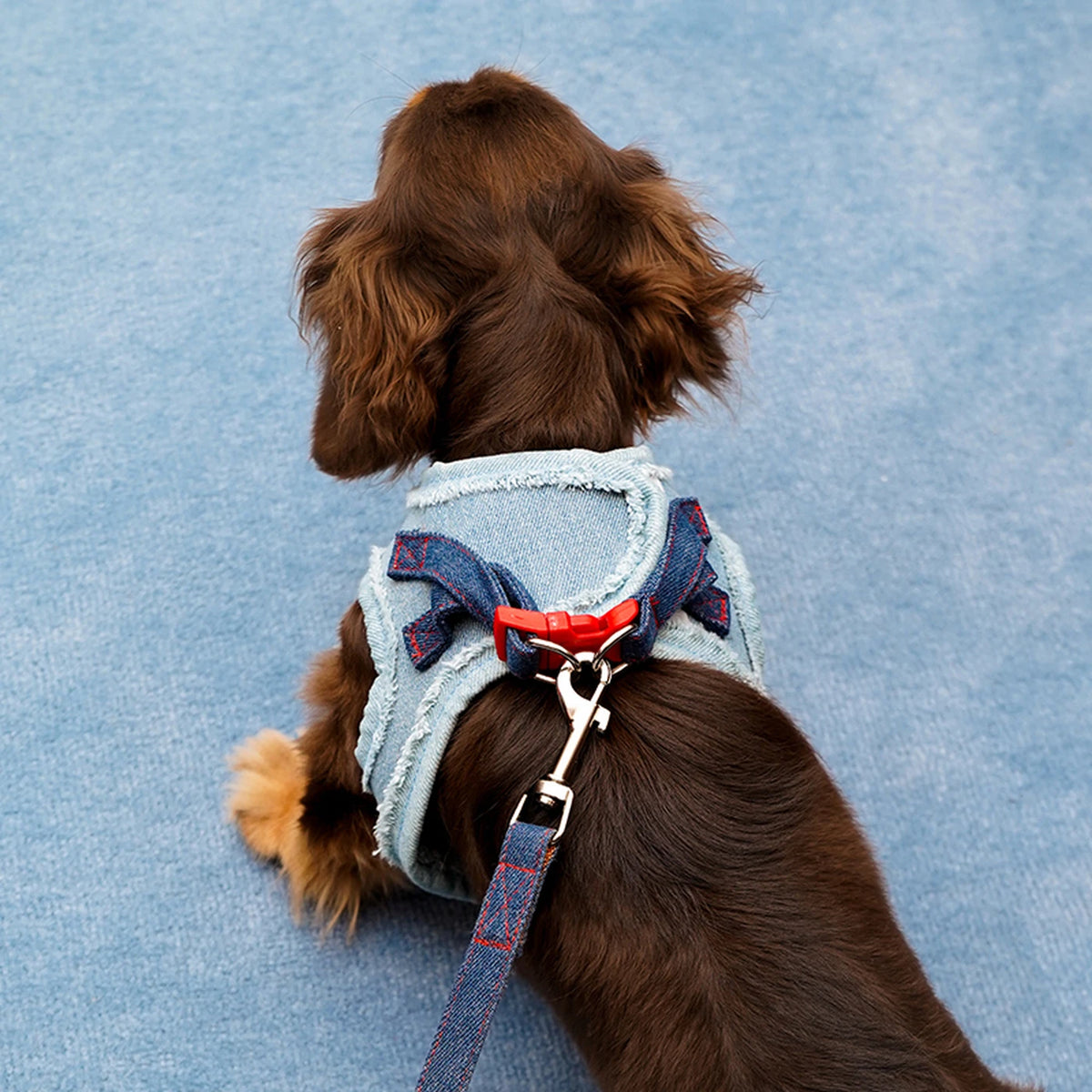 Zeze Denim Hundegeschirr – Größe S – Brustumfang 34–42 cm – Für kleine Hunde von 2,5–5 kg