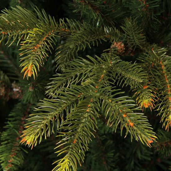 Black Box Trees Frasier Kunstbaum – Weihnachtsbaum mit verspielter, natürlicher Form – PE-Nadeln und Scharnierkonstruktion – Weihnachtsdekoration für den Innenbereich – H 155 x T 109 cm – Grün