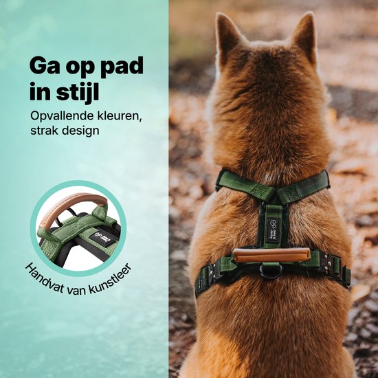 Jake und Jacky Hundegeschirr Hund Medium - Anti-Pull-Geschirr - Y-Geschirr Hund - Hundegeschirr - Grün - Größe M