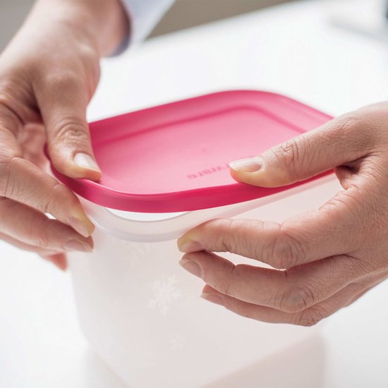 Tupperware Freezer Mates, 2er-Set – Tiefkühlboxen-Set – Lebensmittelbehälter für den Gefrierschrank – BPA-frei – 2 x 1,1 Liter – Rosa
