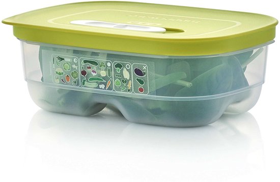 Tupperware Fridge Smart 0,8 l – Frischhaltebehälter – BPA-frei – Vorratsbehälter – Lunchbox – Kunststoffbehälter – Lebensmittelbehälter – Lebensmittel bleiben doppelt so lange frisch