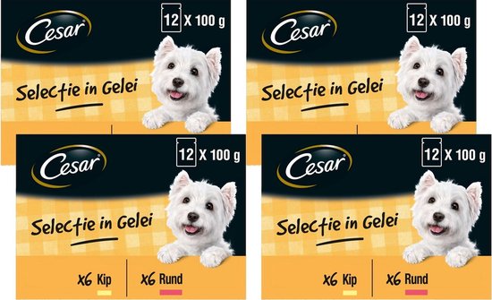 Cesar Meal Pouches Multipack Adult In Jelly - Hundefutter - 4 x 12 Stück