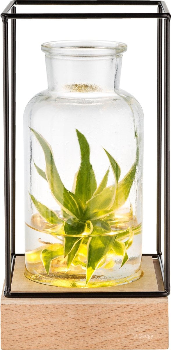 Gadgy Vase mit LED-Beleuchtung - Vasenlampe - Glasvase mit Lampe - Muttertagsgeschenk - Hydroponisch - Batteriebetrieben - Tischlampe - Ã˜11cm