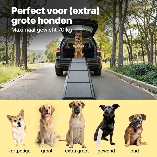 Jake und Jacky Hundetreppe für das Auto – Zusammenklappbare Hundetreppe – Rutschfeste Treppe für große Hunde – Zusammenklappbar – Reflektierend – 180 x 55 cm – Gewicht bis zu 70 kg