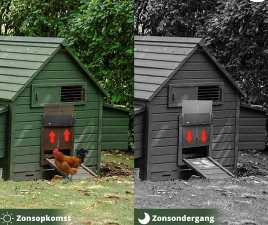 Vierbeiniger Hühnerschlupf - Chickenguard -Automatischer Hühnerschlupf