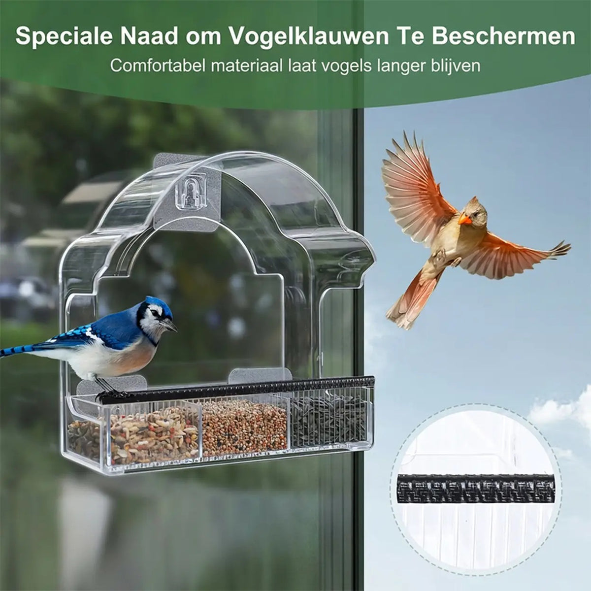 Blinkit 0162 Futterhäuschen für den Fensterrahmen – Acryl – 6 Saugnäpfe