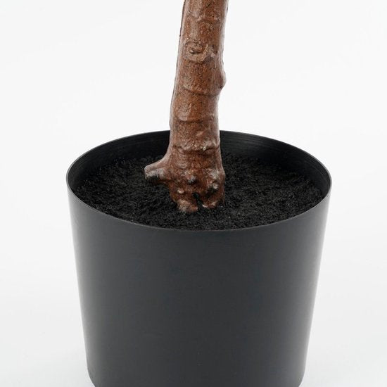 Mica Decorations Ficus Lyrata Kunstpflanze – Kunststoff-Zimmerpflanze im schwarzen Topf – wasser- und UV-beständig für drinnen und draußen – pflegefreie botanische Dekoration – H 150 x Ø 50 cm – grün