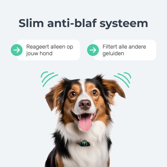 Dutchwide Anti-Bell Collar Pro - 100% wasserdicht - stoßfrei - wiederaufladbar