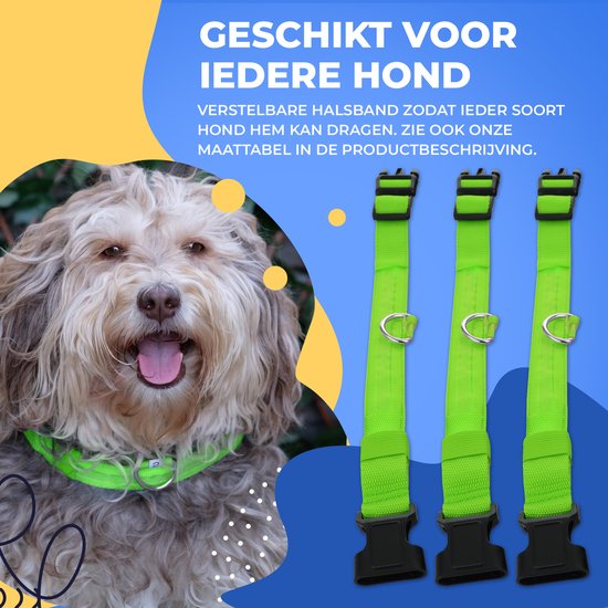 Dutchwide Leuchthalsband Hund - Extra Stark - XS 28 cm bis 38 cm - Hundehalsband - Schnapphalsband - Verstellbar - Reflektierend
