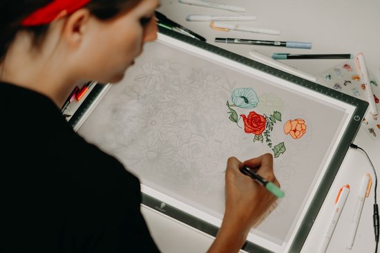 Tageslicht-Waferbox 2 Leuchtkasten A3 E35030