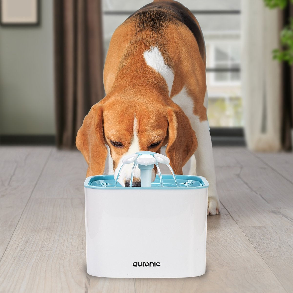 Auronic Trinkbrunnen - Wasserbrunnen für Katzen und Hunde - 2L - Tiertränke - Inkl. 4 Filter - Schwarz