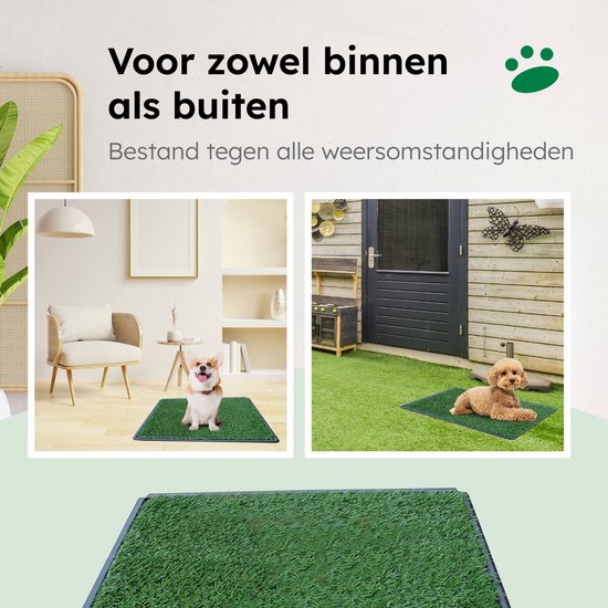 Gtrise Hundetoilette mit 2 Matten - Out/Indoor - Toilettentraining Ebook - Animal Toilet