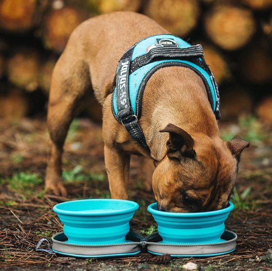 Colapz 2 x zusammenklappbarer Hundenapf – zusammenklappbare Hundenäpfe – Hundenapf – zusammenklappbarer Napf mit Reisetasche – grau – Camping mit Hund
