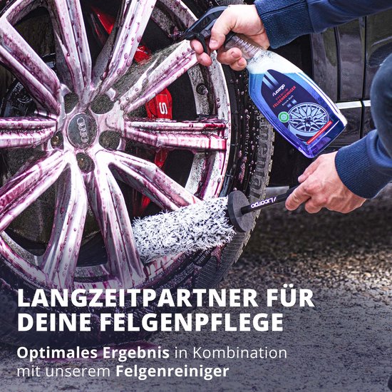 Felgenbürste